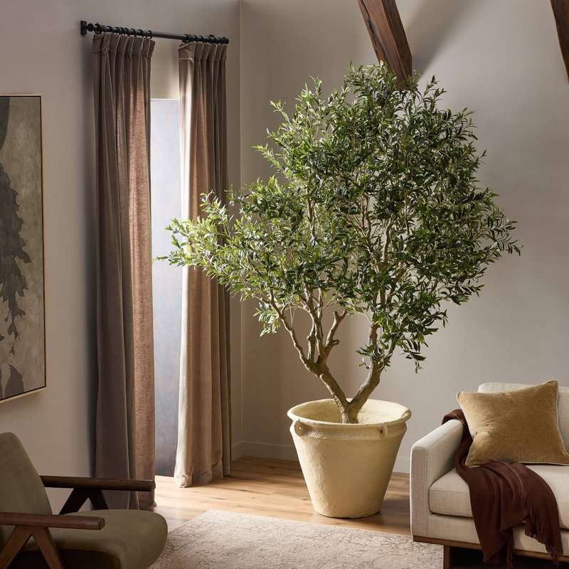 Primrue Faux Olive Tree Wide-Faux Olive Tree Wide-8' | Wayfair